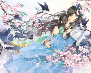 天美果冻大象